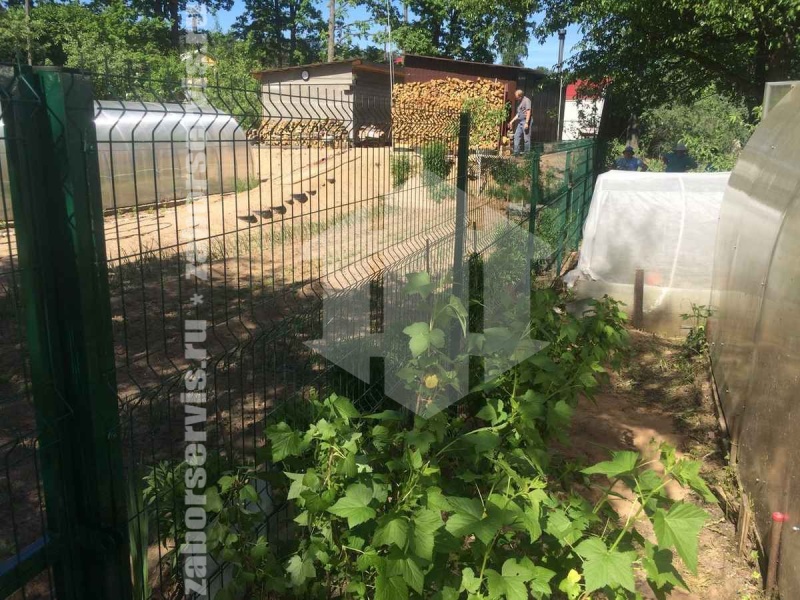 3D забор 6 соток 5мм